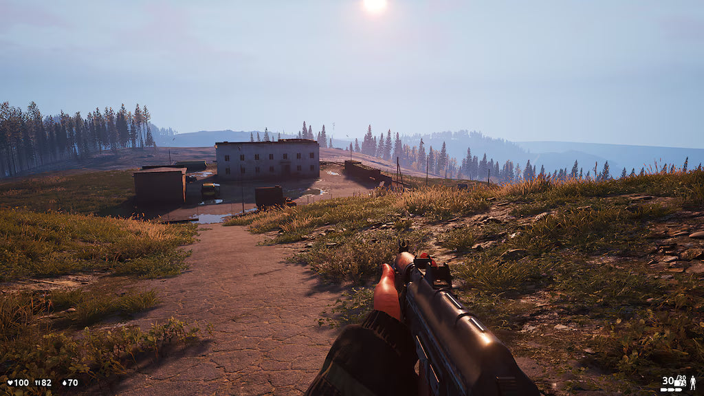 10 Deadside Steam Accounts (PC) - Steam Account - GLOBAL Original Gmail Access