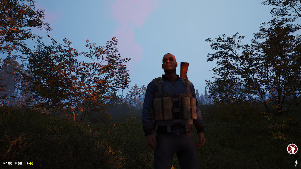 10 Deadside Steam Accounts (PC) - Steam Account - GLOBAL Original Gmail Access