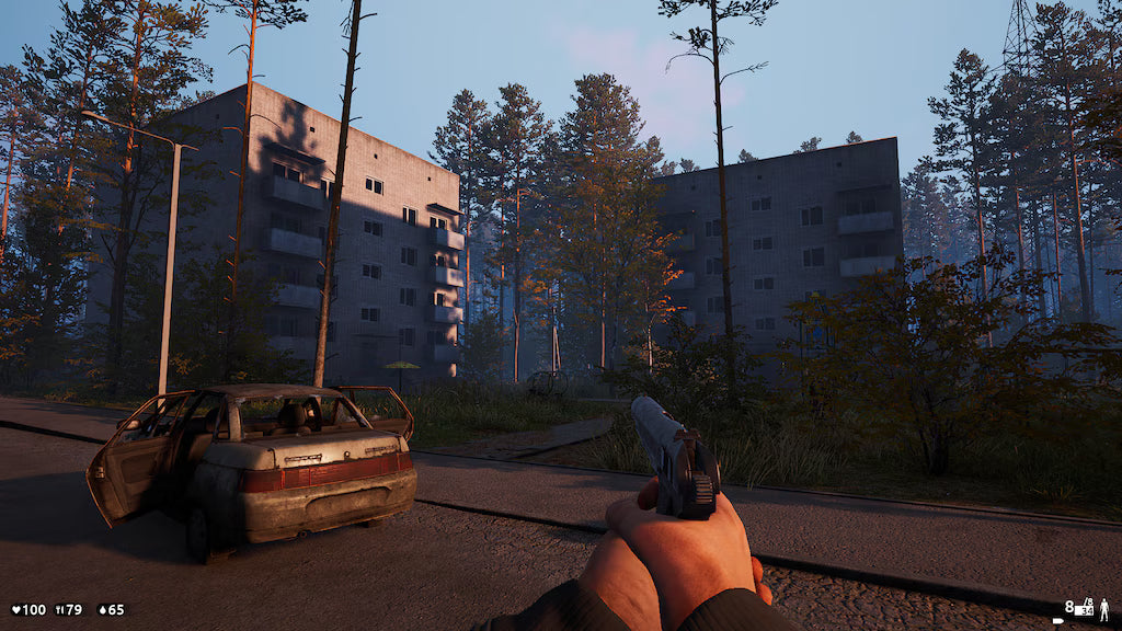 10 Deadside Steam Accounts (PC) - Steam Account - GLOBAL Original Gmail Access
